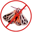 Moth Control Frankston