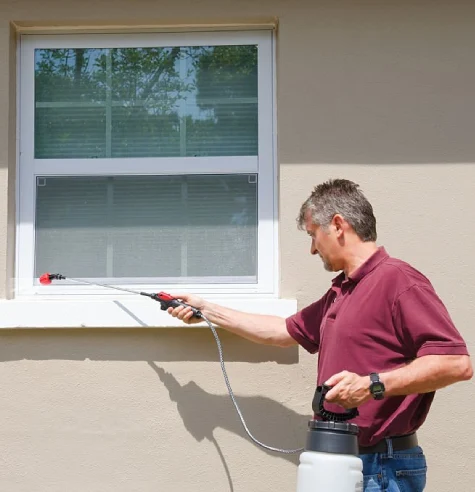 Pest Control Services Frankston